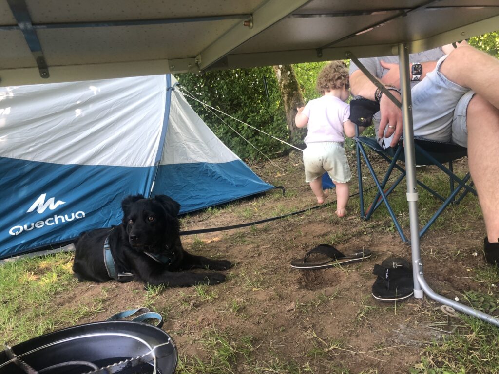 Zeltromantik - Camping mit Kleinkind und Hund
