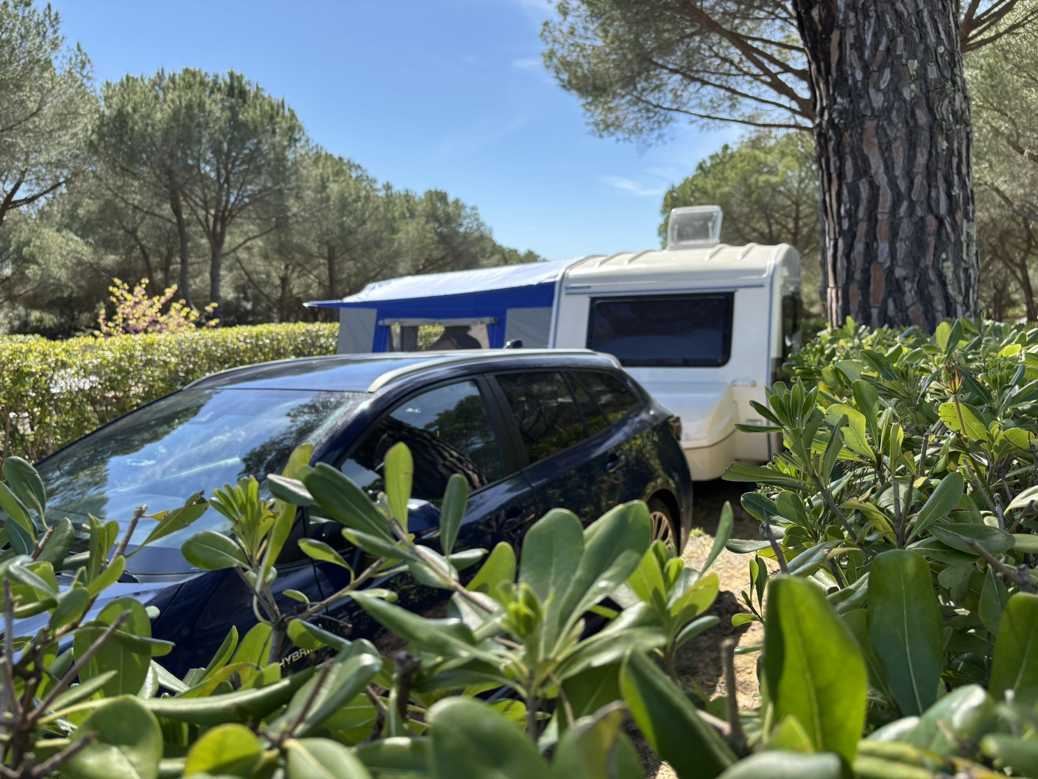 Ankunft auf dem Campingplatz: Miniwohnwagen in der Toskana
